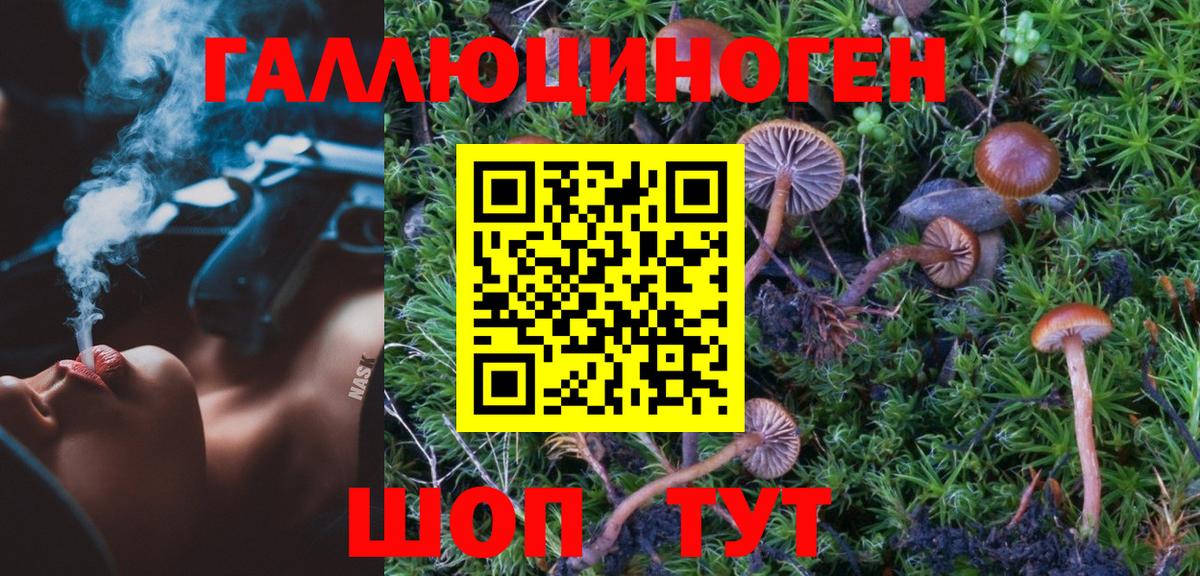 Псилоцибиновые грибы MAGIC MUSHROOMS  Вход с VPN  Славянск-на-Кубани 
